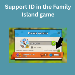  Support ID in the Family Island game